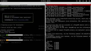 nuxt js authentication along with tips