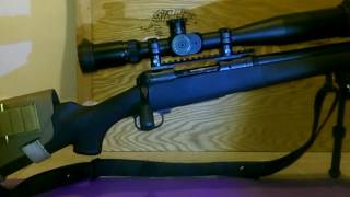 Savage 20 rd extended mag functioning