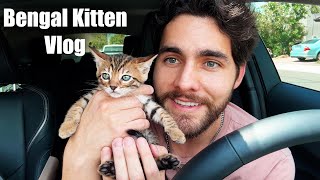 I Got A Bengal Kitten Because I'm ✨Lonely✨ First Day Home + Kitten Supplies Haul
