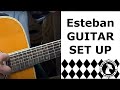 Acoustic Guitar Set Up - Esteban AL 100 acoustic / electric guitar