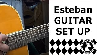 Acoustic Guitar Set Up - Esteban AL 100 acoustic / electric guitar