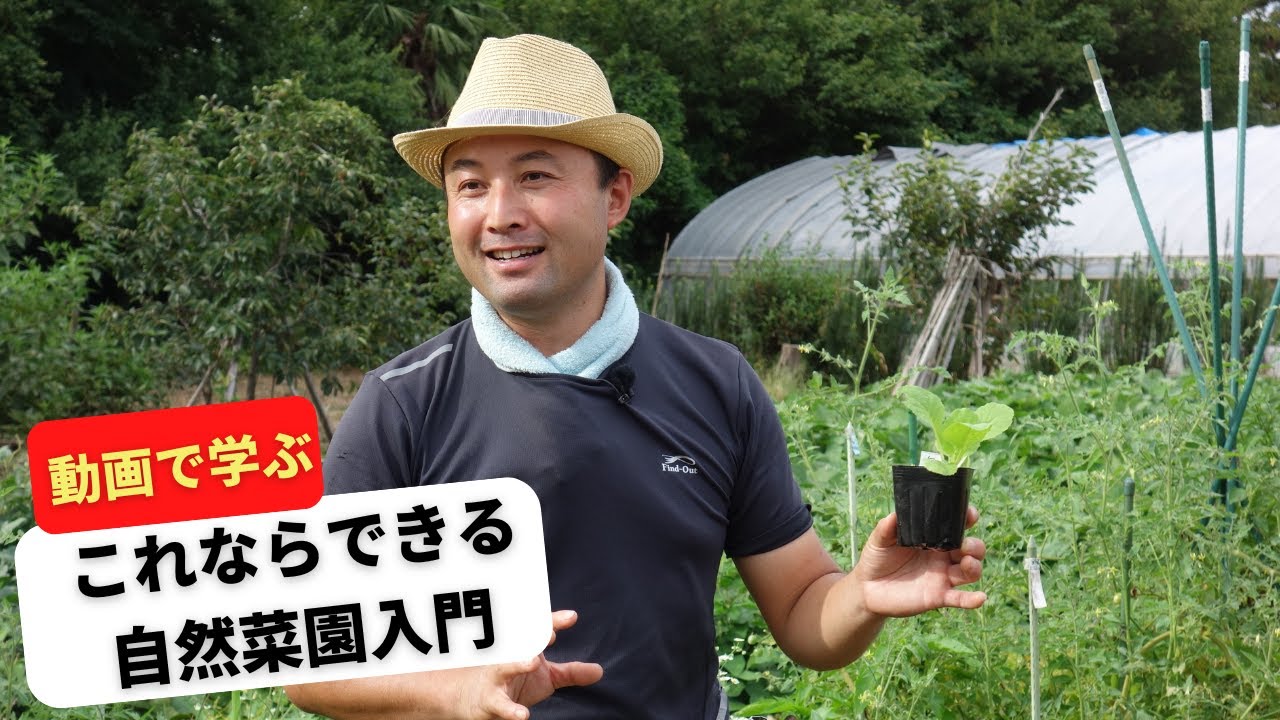 お知らせ】18時間を超える動画「これならできる自然菜園入門」発売の