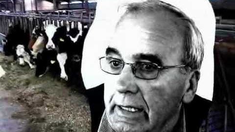 Terpenplan Overdiepse polder