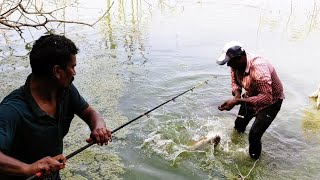 Amazing  Hook Fishing Forest Area BiG Rohu Fishes In Catching