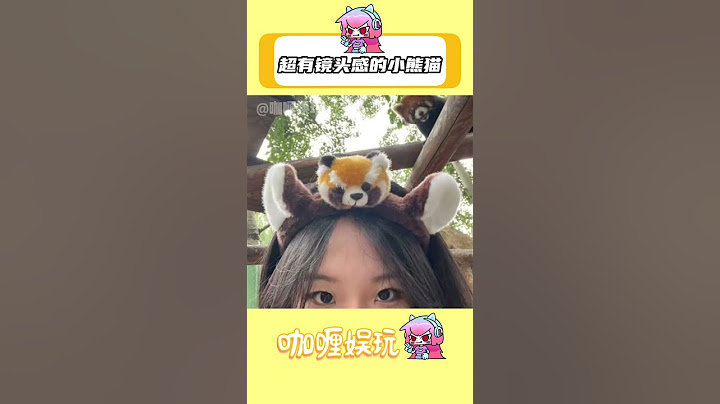 長得可愛的是小熊貓 猥瑣的是小浣熊 #萬萬沒想到 #小熊貓 #野生動物零距離 #可愛到爆炸💥 #動物