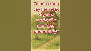 Có nên trồng cây liễu hoặc cây dâu trước cửa nhà theo phong thủy.?