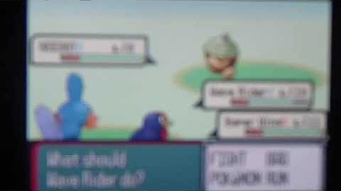 Pokemon Ruby Part 9: More of Route 104! | GiantGrotle