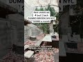 New York City apartmentDumbo Brooklyn#newyorkcityapartment #dumbo #brooklyn #fyp #nyc #realestate