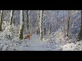 An Artists video diary as he paints a snowscene.
