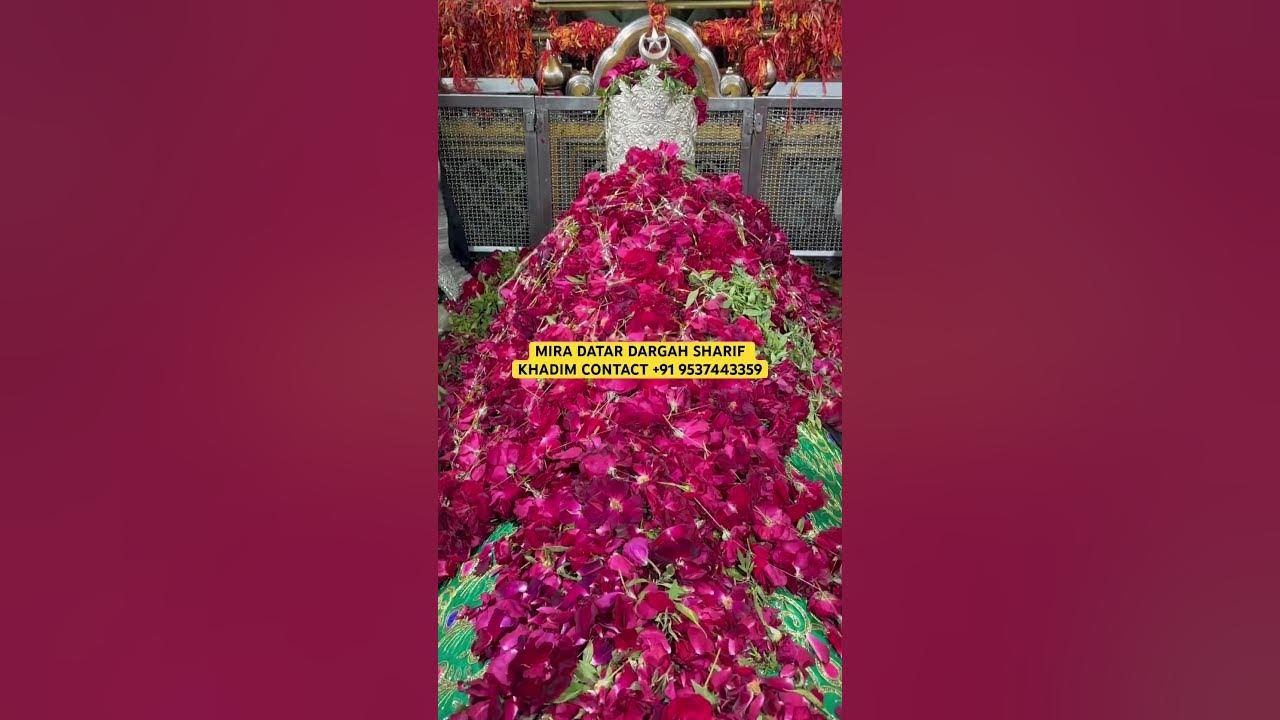 Mira Datar Dargah sharif any problem solve call this number +91