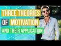 Theory X, Y, Z: How to Motivate Yourself and Others At Work