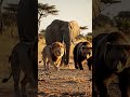 #ai video #trending