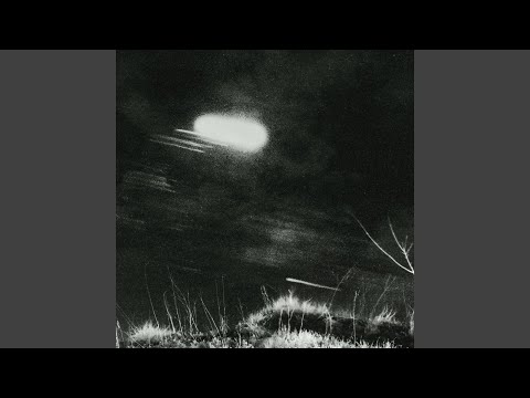 The Silence That Remains