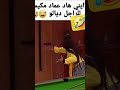وايني هد عماد مكيسمع للراجل ديالو هدوبرنسيسة مسهلاشي ههههه