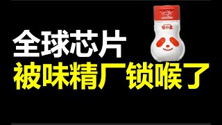 從廚房味精到芯片半導體，日本公司是如何握住全球互聯網命脈的（味之素）｜十萬個品牌故事