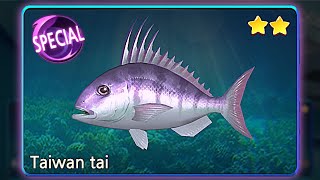 Fishing Hook | Borneo Sea: Taiwan Tai (Special) [☆☆☆★★]
