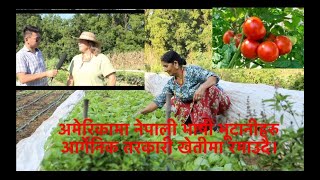 Organic Vegetable Garden in Nashville TN, by Bhutanese/Nepali