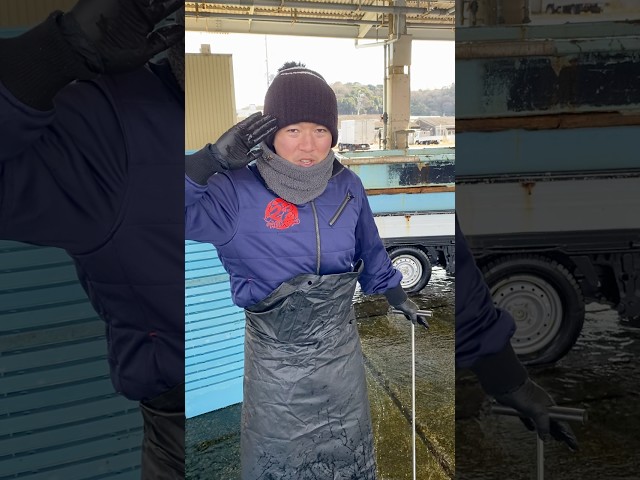 カニの掴み取りチャレンジやるよ‼️#うお一番 #市場 #海鮮好き