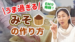 美味しいお味噌の作り方　決めては〇〇！　さやか×発酵シスターズ