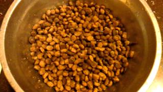 Pincher bugs in dog food