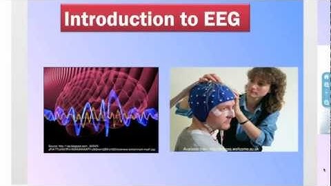 EEG and Action Potentials