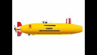 Remus 6000
