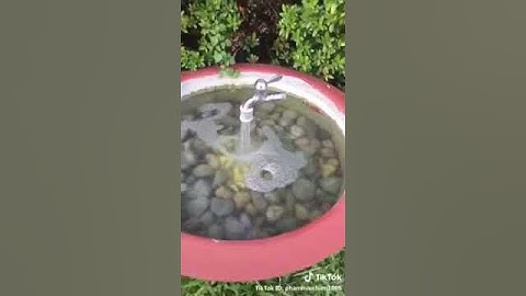 Vòi nước ma thuật