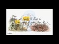 ⚔️ Battle of Uhud⚔️reminds us how the Sahabah stood fearlessly to protect #prophetmuhammad ﷺ #quran