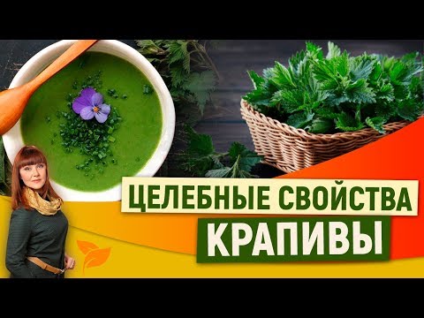 0 Магические свойства крапивы