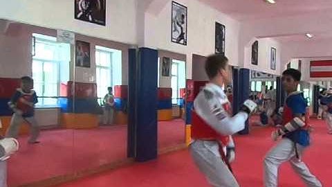 TAMIM FRIENDLY FIGHT IN VIENNA , AUSTRIA