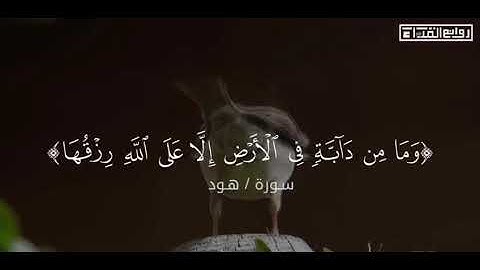 القارئ : إبراهيم العسيري || ترتيل بديع من سورة هود