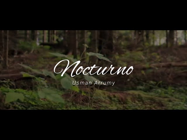 Nocturno - Usman Arrumy | Belantarakata Puisi class=