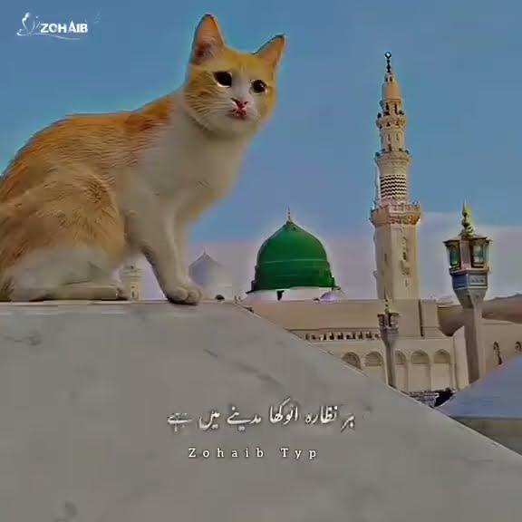 https://youtu.be/h-7roulFWdo?si=ebpG_g4X2Mw_nuuw