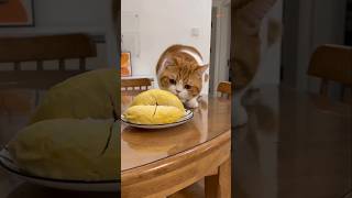 Download Lagu Nothing went as planned. 😐 MP3