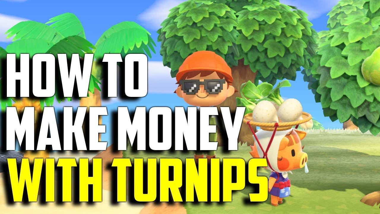 How to Make Money with Turnips | Turnips ACNH | Animal Crossing New