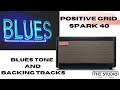 Positive Grid Spark - Blues Tone And Backing Tracks