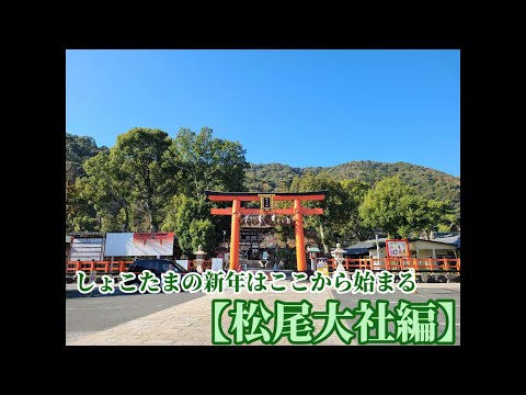 【京都観光】～松尾大社編～