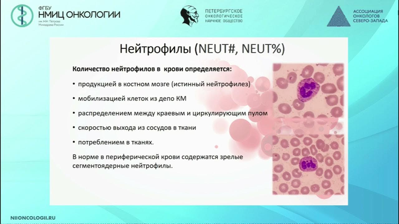 Тканевые базофилы. Лимфоцитоз. Лимфоцитоиммунотерапия. Нейтрофилия вирус. Моноцитоз и лимфоцитоз.