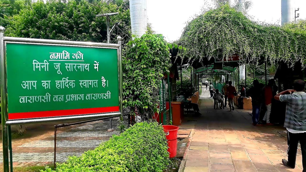 Sarnath Zoo सारनाथ चिड़ियाघर Sarnath Varanasi YouTube