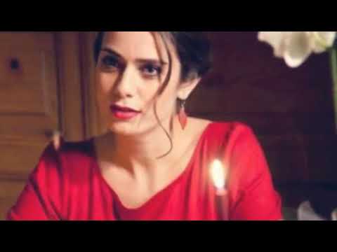 موسيقى ليلى الشهيرة من مسلسل وادي الذئاب