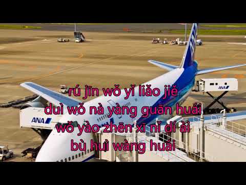 情人的關懷（空港）　テレサ・テン（鄧麗君）　Cover ２　（中語+日語）　Kuukou　Teresa Teng