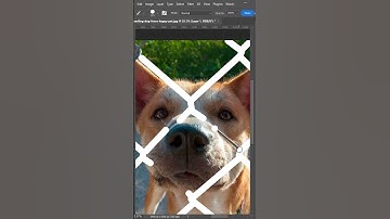 How to Remove Fences in #photoshop