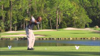 Disney Beyond The Parks Travelocity