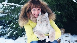 WALKING WITH HAPPY YAKT LYNX