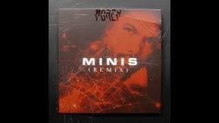 Morex – MINIS (Remix) | Afro House Source | #afrohouse #afrotech #dance