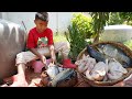 Yummy fish and chicken cooking with country style  chef seyhak