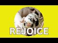 Receive Hope: Rejoice, the Unclean Place is the place of Awakening