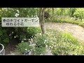 春のホワイトガーデン