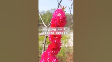 Thumbnail of Don't forget  song by Na Hoon ,a famous K-singer