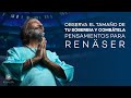 Observa el tamaño de tu soberbia y combátela | Pensamientos para Renäser Michel Domit